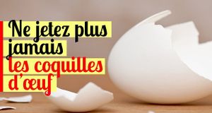 Ne jetez plus jamais les coquilles d’œuf !