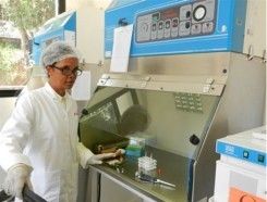 Peste : Situation épidémiologique préoccupante à Antananarivo