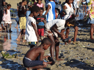 Repeuplement des mangroves : Les jeunes et les enfants, mobilisés