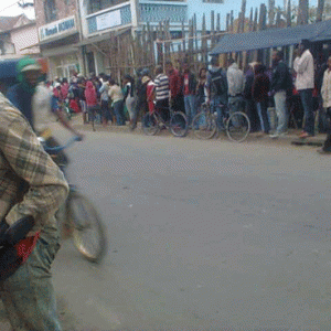 Psychose à Moramanga : Menace d’épidémie de peste, déjà 6 morts, ruées vers les pharmacies