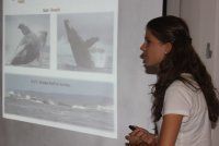 Baleines, cachalots et dauphins De vrais trésors cachés au large de Mahajanga
