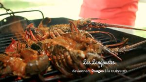 Langoustes grillées