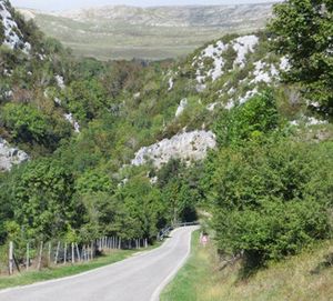 Commune d’Antabaoka – 19 Voi de la forêt de Tapia et Union Maitso