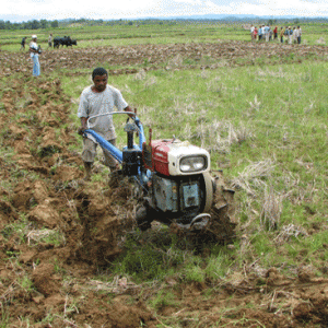 COI : Madagascar grenier de l’Océan Indien d’ici à 5 ans