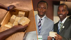 Ils inventent un savon anti-paludisme pouvant sauver des milliers de vies