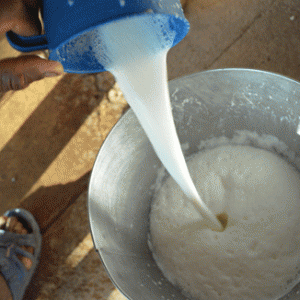 Filière or blanc : Le lait devient un produit de luxe