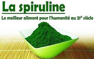 La spiruline, algue miracle : pourquoi et comment l'utiliser ?