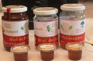 Commercialisation dans la filière miel – Renforcer les capacités avec les Allemands