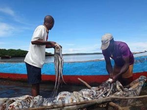 Réserves marines d’Ambodivohibe – Un festival pour sauver les espèces