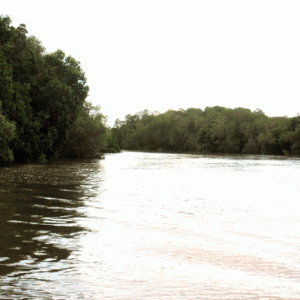 Parc d’Ambodivahibe : Lancement d’un nouveau circuit touristique