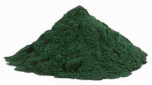 «L’or vert», la spiruline