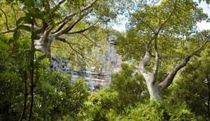Protection de l’environnement – Sgs accompagne les industriels