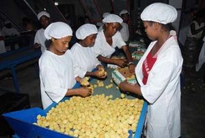 Commerce extérieur – Boom des exportations d’aliments