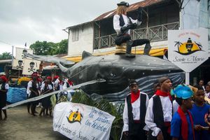 Festival des baleines - Sainte Marie n’attend plus que les visiteurs