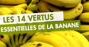 Les 14 vertus essentielles de la banane