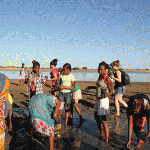 Réhabilitation des mangroves : Plantation de palétuviers
