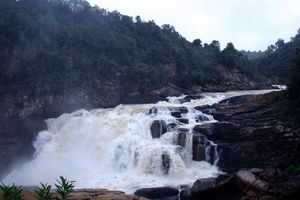 Photo: www.madagascar-guide.com