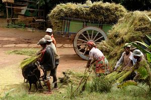 Photo: www.madagascar-guide.com