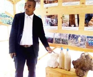 Environnement – Des champignons de manioc à exporter
