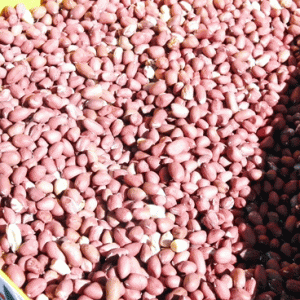 Filière arachides : Les Chinois très demandeurs de la production malgache