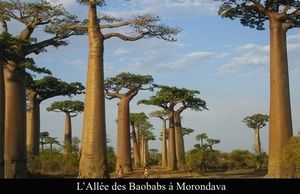 Madagascar, Destination trop onéreuse