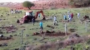 Madagascar : la menace de la fièvre aphteuse plane