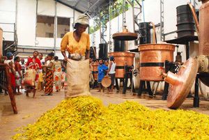 Foire d’Ylang-ylang – Une dizaine d’échanges lors des rencontres B to B