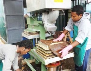 Entrepreneuriat – La production de jus de pomme se professionnalise