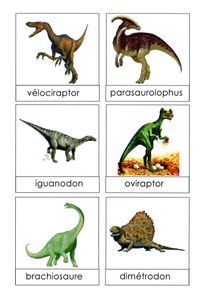 dinosaure, langage écrit et travail sur la mémoire immédiate