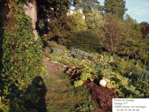 jardin de Durège