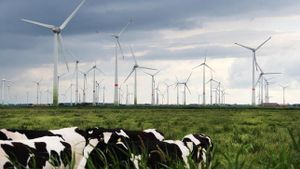 Deutschland: Der Kampf um die Windräder