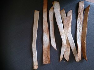 lamelles de fajitas