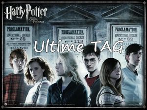 L'ultime TAG Harry Potter