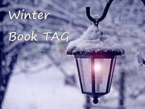 Winter book TAG