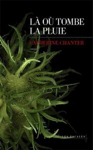 Là où tombe la pluie de Catherine Chantier
