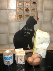 FLAN COCO