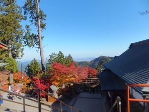 東京青梅市の御岳山