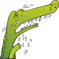 DE LA RESERVE D’INDIENS AUX LARMES DE CROCODILE