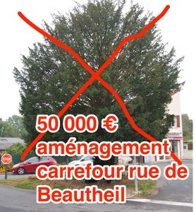 Saint Augustin, l'arbre de nos poilus vient d'être tué