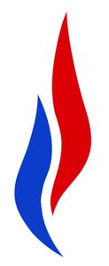Elections Régionales / 1er tour : triomphe du FN