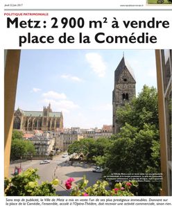Metz - Un futur scandale lié au patrimoine ?