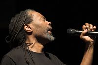 Bobby Mc Ferrin
