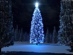 La légende du sapin de Noël