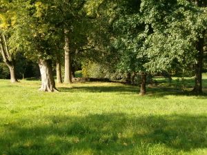 La nature à proximité