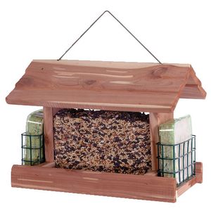 Nourrir les oiseaux oui, mais pas les intoxiquer!