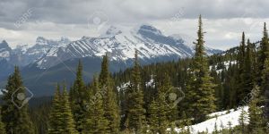 Du côté de l'Alberta