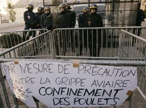 L'art du défilé