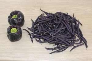 Le violet, tendance de l'été 2015 au Potager du Caillou