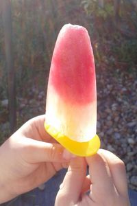 glace a l'eau facile
