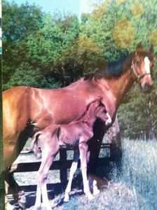 Q'Kally et sa maman Révérence